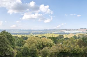 Photo 17- click for photo gallery